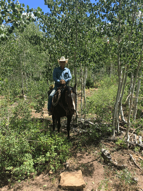 raised in Colorado, all-natural, grass-fed beef -12